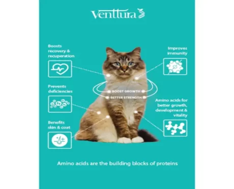 Venttura Amino Acids & Vitamin Supplement for Cats,100 ML at ithinkpets.com (2)