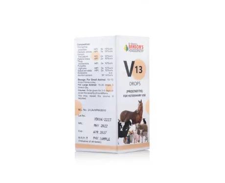 Bakson Veterinary V13 Prostatitis Drops, 30 ML at ithinkpets.com (2)
