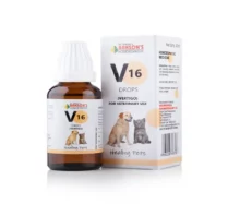 Bakson Veterinary V16 Vertigo Drops, 30 ML at ithinkpets.com (1)
