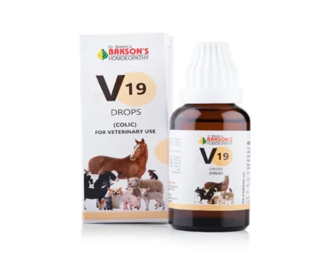 Bakson Veterinary V19 Colic Drops, 30 ML at ithinkpets.com (1)