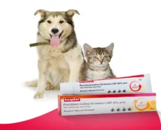 Beaphar Wound Ointment for Pets, 20 Gms at ithinkpets.com (2)