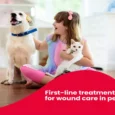 Beaphar Wound Ointment for Pets, 20 Gms