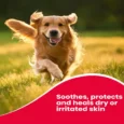Beaphar Wound Ointment for Pets, 20 Gms