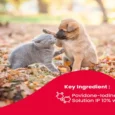 Beaphar Wound Solution 10% for Pets, 125 ML
