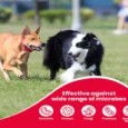 Beaphar Wound Solution 10% for Pets, 125 ML