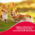 Beaphar Wound Solution 10% for Pets, 125 ML