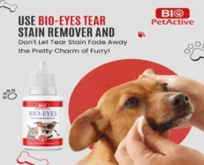 Bio PetActive Bio Eyes Tear Stain Remover for Dogs & Cats, 50 ML at ithinkpets.com (2)