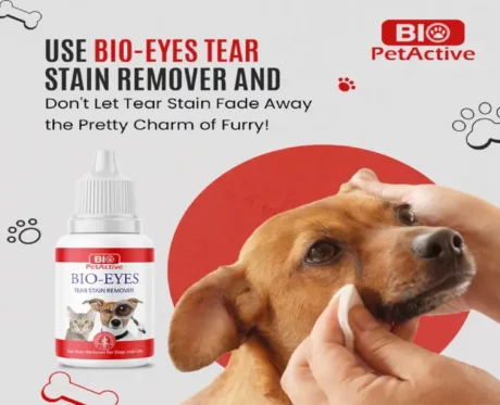 Bio PetActive Bio Eyes Tear Stain Remover for Dogs & Cats, 50 ML at ithinkpets.com (2)