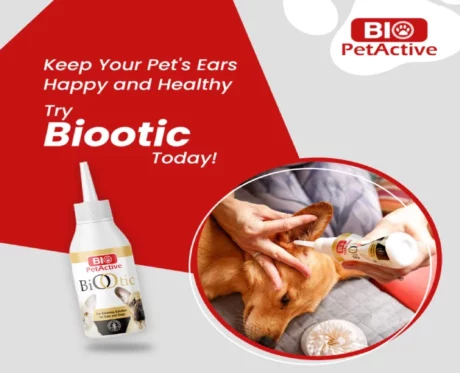 Bio PetActive Bio Otic Ear Cleanser for Dogs & Cats, 100 ML at ithinkpets.com (2)