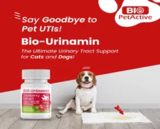 Bio PetActive Bio Urinamin for Dogs & Cats, 20 Tablets at ithinkpets.com (2)