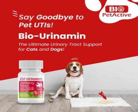 Bio PetActive Bio Urinamin for Dogs & Cats, 20 Tablets at ithinkpets.com (2)