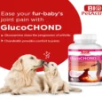Bio PetActive Glucochond for Hip & Joint Support in Dogs, 60 Tablets