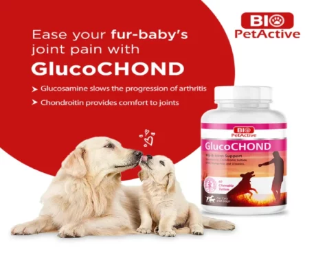 Bio PetActive Glucochond for Hip & Joint Support in Dogs, 60 Tablets at ithinkpets.com (2)