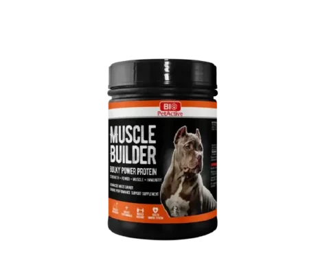 Bio PetActive Muscle Builder, Bulky Power Protein for Dogs, 120 Gms at ithinkpets.com (1) (1)