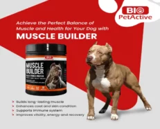 Bio PetActive Muscle Builder, Bulky Power Protein for Dogs, 120 Gms at ithinkpets.com (2)