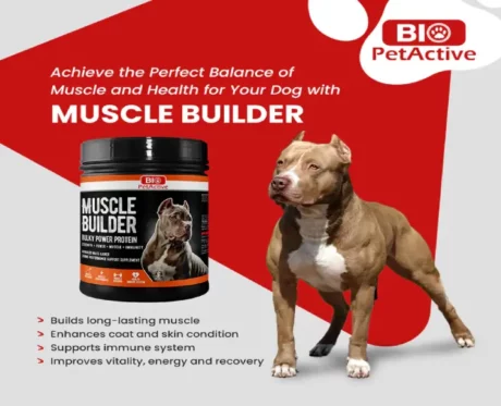 Bio PetActive Muscle Builder, Bulky Power Protein for Dogs, 120 Gms at ithinkpets.com (2)