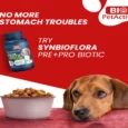 Bio PetActive SYNBIOFLORA Medium & Large Breed Dogs, 60 Tablets