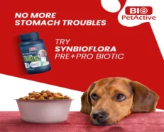 Bio PetActive SYNBIOFLORA Small Breed Dogs, 60 Tablets at ithinkpets.com (2)