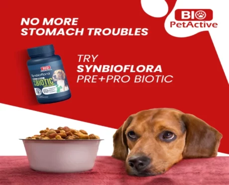 Bio PetActive SYNBIOFLORA Small Breed Dogs, 60 Tablets at ithinkpets.com (2)
