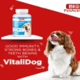 Bio PetActive Vitali Dog, Multi Vitamins For Puppy & Dogs, 75 Tablets