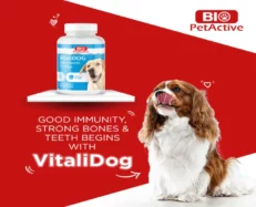 Bio PetActive Vitali Dog, Multi Vitamins For Puppy & Dogs, 75 Tablets at ithinkpets.com (2)