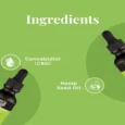 Cure By Design 1000 MG CBD Relief Oil for Large Dogs, 30 ML