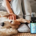 Cure By Design 100mg CBD Pain Hemp Spray for Dogs, 50 ML
