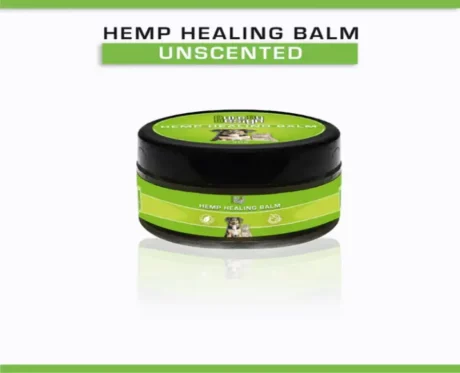 Cure By Design Hemp Healing Balm for Dogs and Cats, 30 Gms at ithinkpets.com (2)