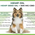 Cure By Design Hemp Oil for Dogs and Cats