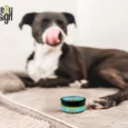Cure By Design Pain Relief Hemp Healing Balm for Dogs and Cats, 100 MG CBD