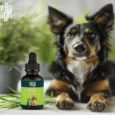 Cure By Design Relief 500 MG CBD Oil for Cats & Dogs, 30 ML