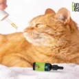 Cure By Design Relief 500 MG CBD Oil for Cats & Dogs, 30 ML