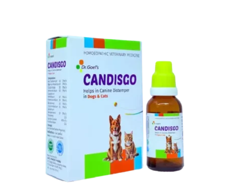 Dr Goel’s CANDISGO Helps in Canine Distemper for Dogs & Cats, 30 ML at ithinkpets.com (1) (1)