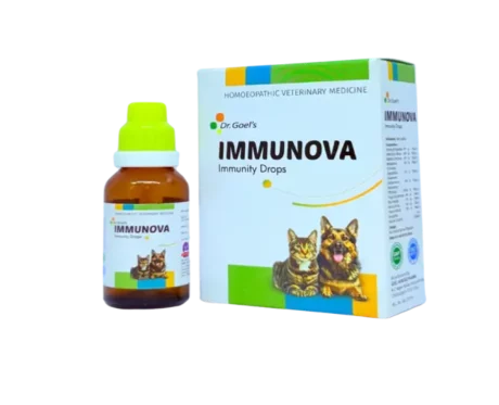 Dr Goel’s IMMUNOVA for Increasing Immunity in Pets, 30 ML at ithinkpets.com (2)