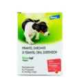 Elanco Drontal Puppies Dewormer Pet Suspension Liquid, 20 ML