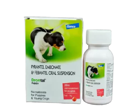 Elanco Drontal Puppies Dewormer Pet Suspension Liquid, 20 ML at ithinkpets.com (2)