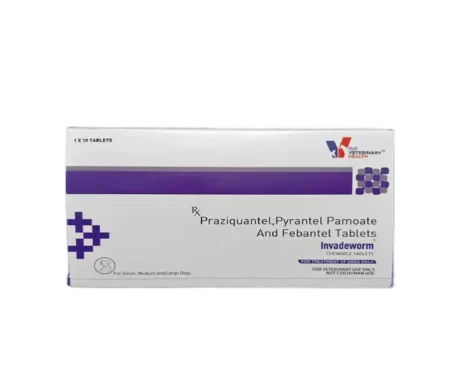 Invadeworm Deworming Tablet for Dogs, 10 Tablets at ithinkpets.com (1)
