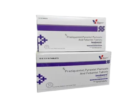 Invadeworm Deworming Tablet for Dogs, 10 Tablets at ithinkpets.com (2)