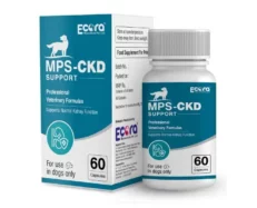 MPS Ecora CKD Support for Dogs, 60 Capsules at ithinkpets.com (1) (1)