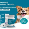 MPS Ecora CKD Support for Dogs, 60 Capsules