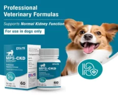 MPS Ecora CKD Support for Dogs, 60 Capsules at ithinkpets.com (2)