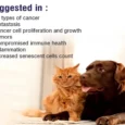 MPS Liposomal Apigenin for Dogs, 500 MG