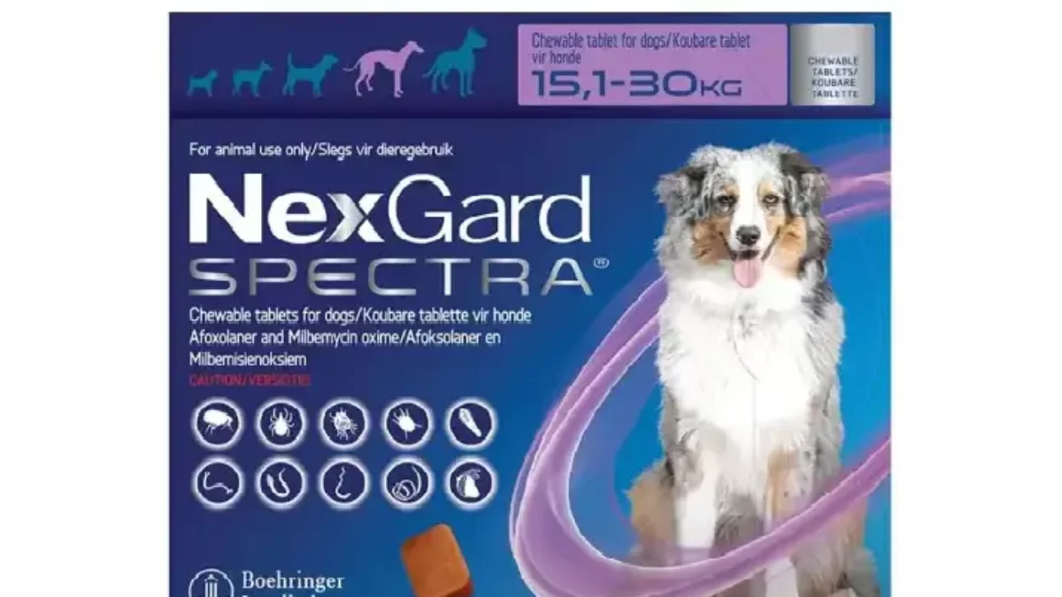Buy NexGard Spectra Large For Dogs 15–30 KG Tick, Flea Worm