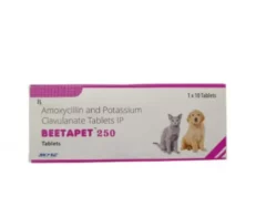 Skyec Beetapet Tablet 250 MG for Dogs and Cats at ithinkpets.com (1) (1)