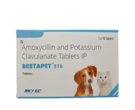Skyec Beetapet Tablet 375 MG for Dogs and Cats at ithinkpets.com (1) (1)