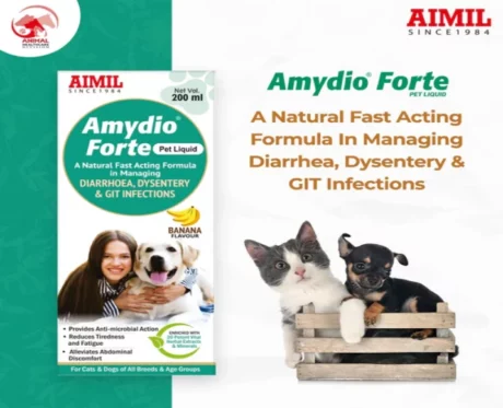 Aimil Amydio Forte Liquid Supplement for Dogs and Cats, 200 ML at ithinkpets.com (2)