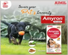 Aimil Amyron Liquid Supplement for Dogs and Cats, 200 ML at ithinkpets.com (2)