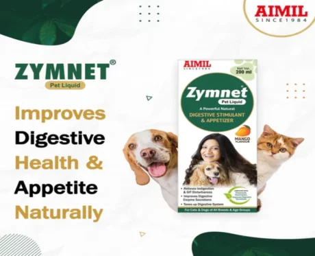 Aimil Zymnet Liquid Supplement for Dogs and Cats, 200 ML at ithinkpets.com (3)