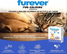 Furever Fur Calming Capsules for Dogs & Cats at ithinkpets.com (2)