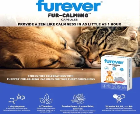 Furever Fur Calming Capsules for Dogs & Cats at ithinkpets.com (2)